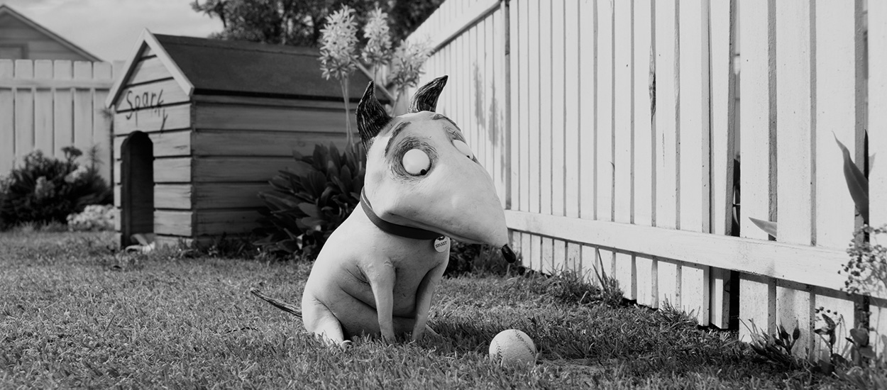 Frankenweenie (2012) image