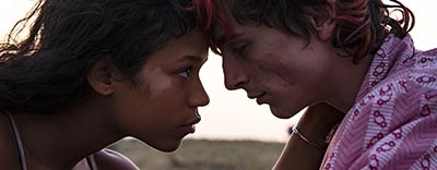 Bones and All: Timothée Chalamet Stars in a Horrific Tale image